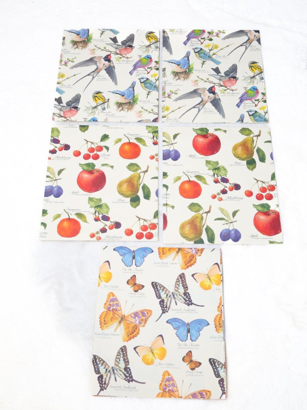 Vintage 1988 Botanical Gift Wrap Assortment - Butterflies, Birds, Fruit